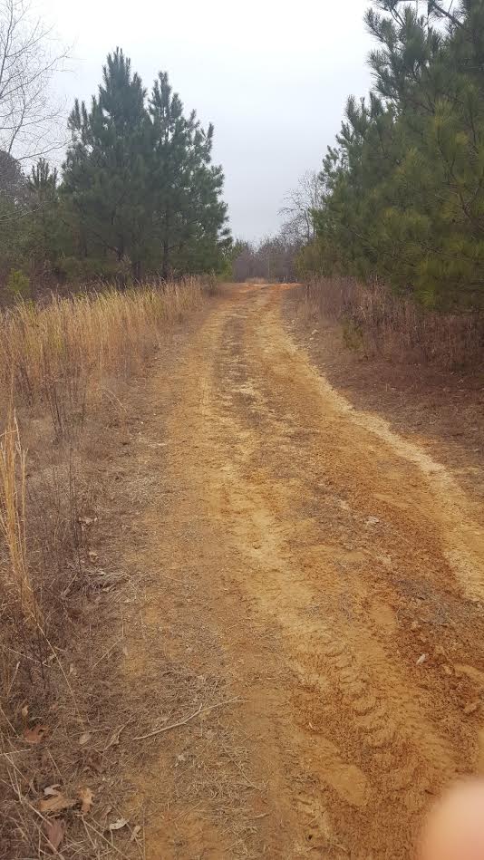 130 +/ ACRES OF LAND